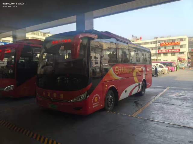 800BUS
