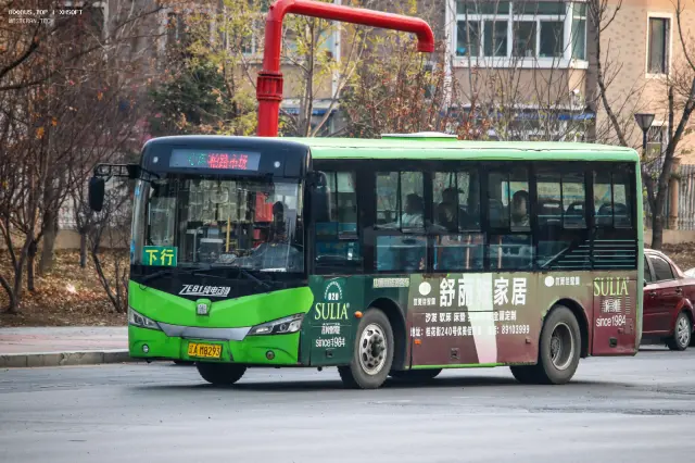 800BUS