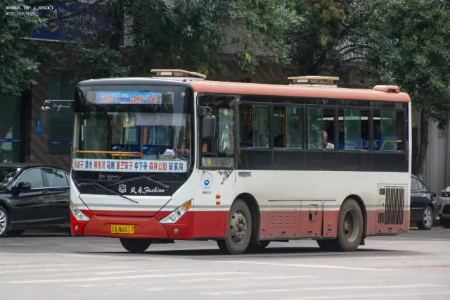 800BUS