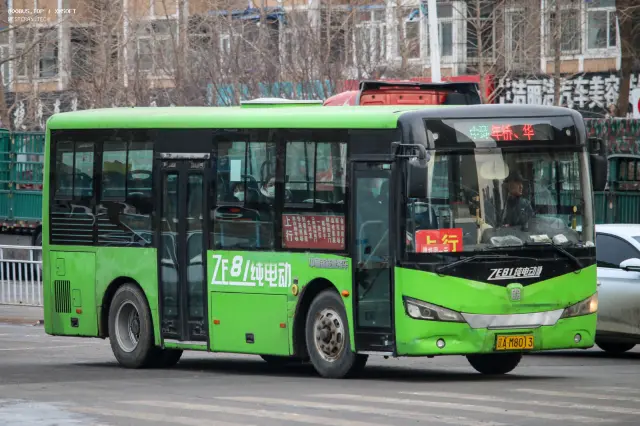 800BUS