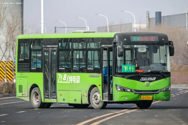 800BUS