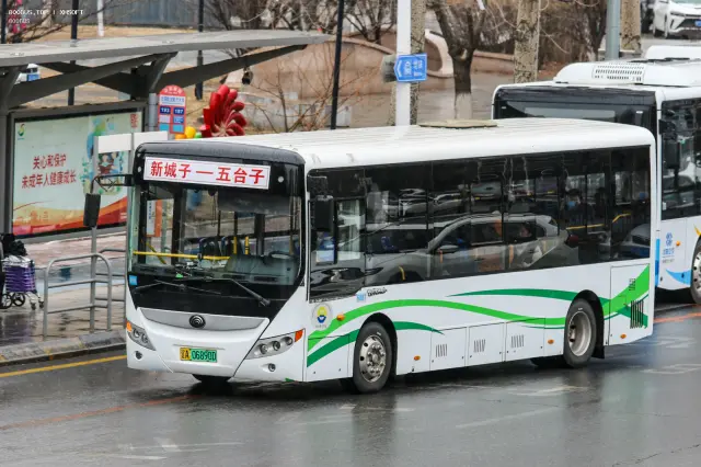 800BUS
