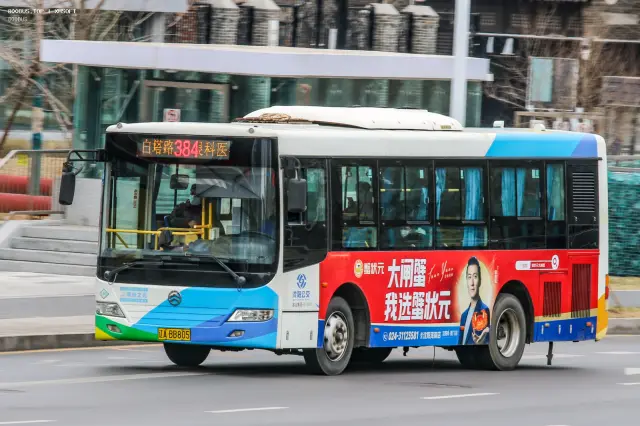 800BUS