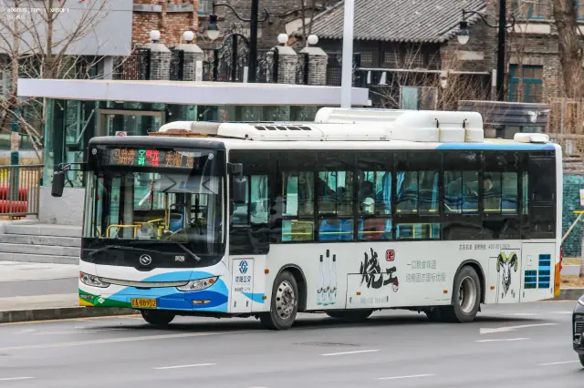 800BUS