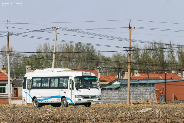 800BUS