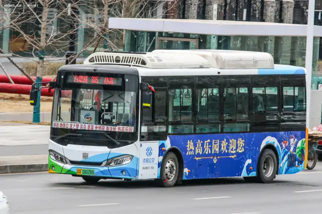 800BUS