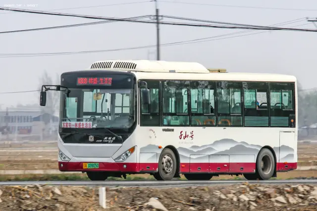 800BUS