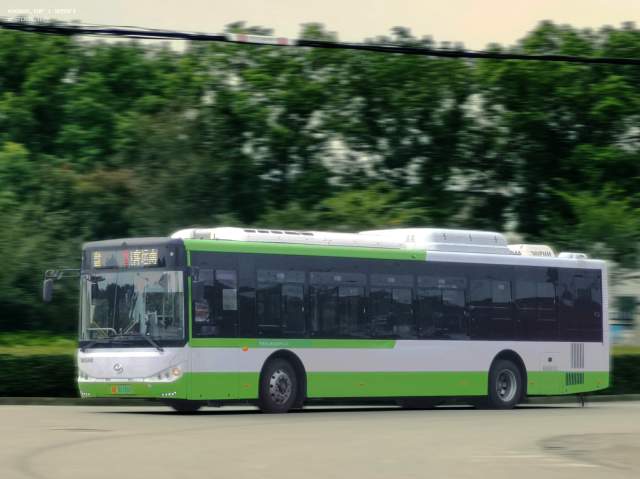 800BUS