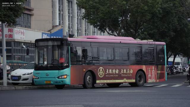 800BUS
