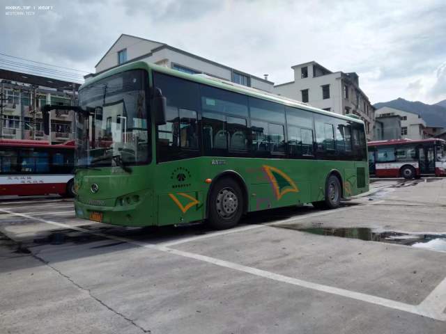 800BUS
