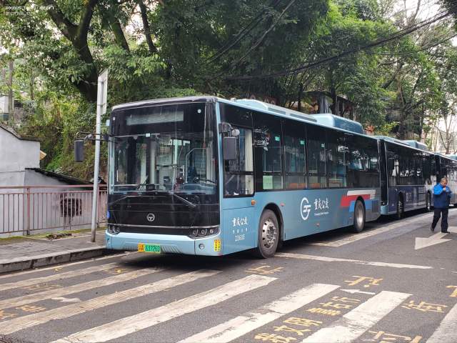 800BUS
