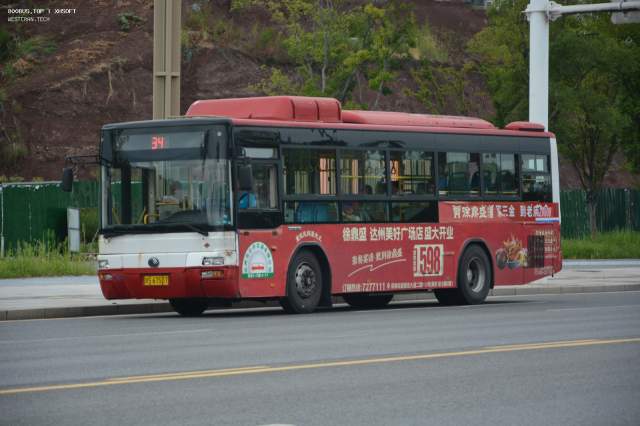 800BUS