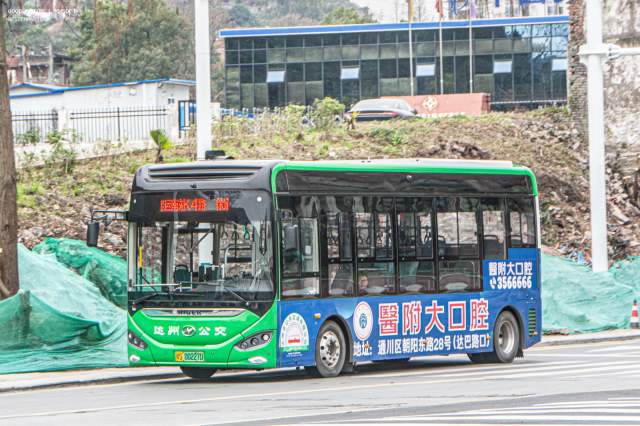 800BUS