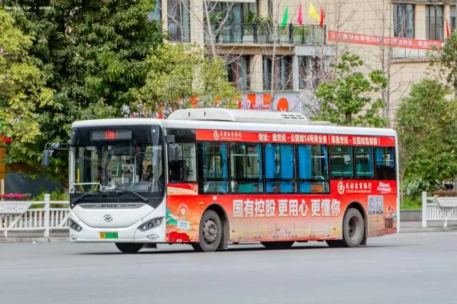 800BUS