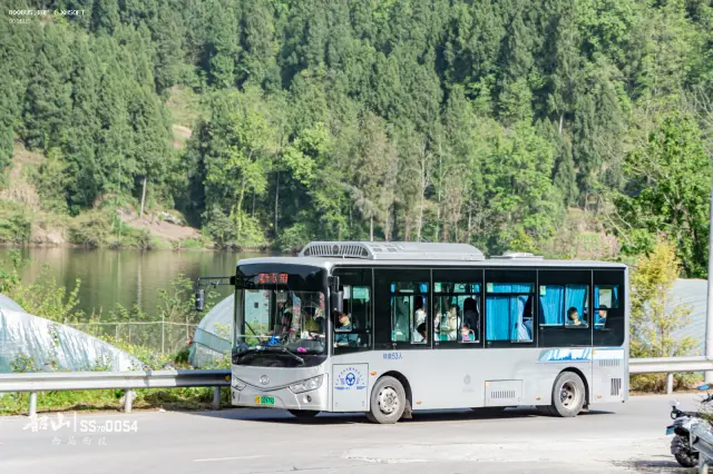 800BUS