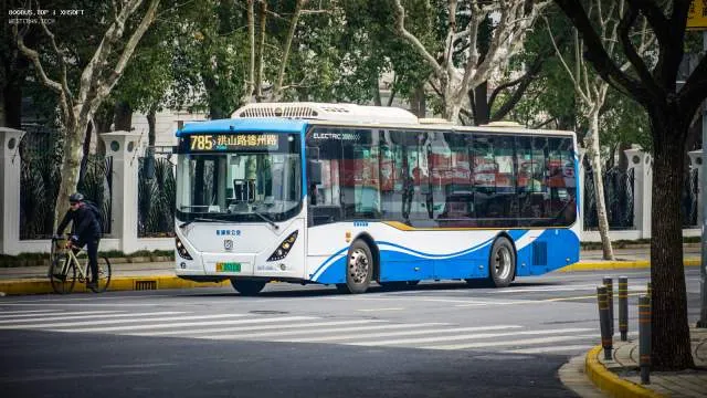 800BUS