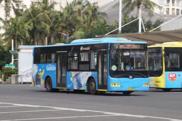 800BUS