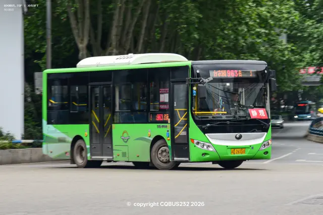 800BUS