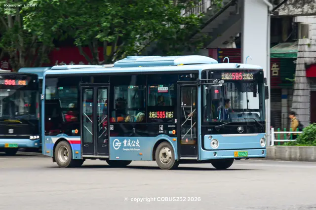 800BUS