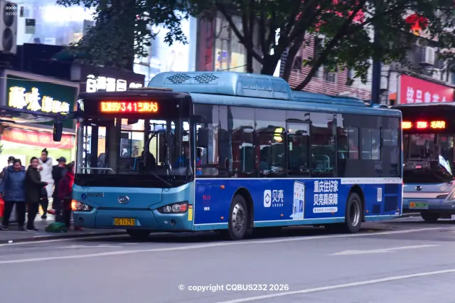 800BUS