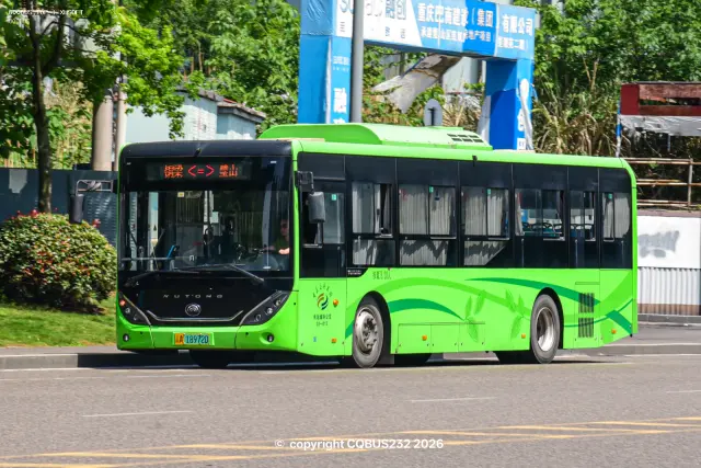 800BUS