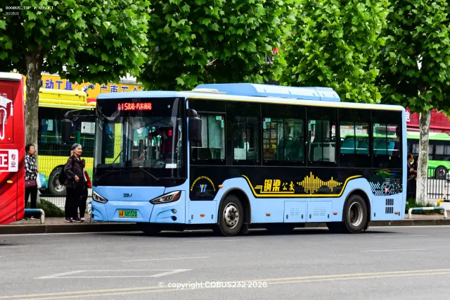 800BUS