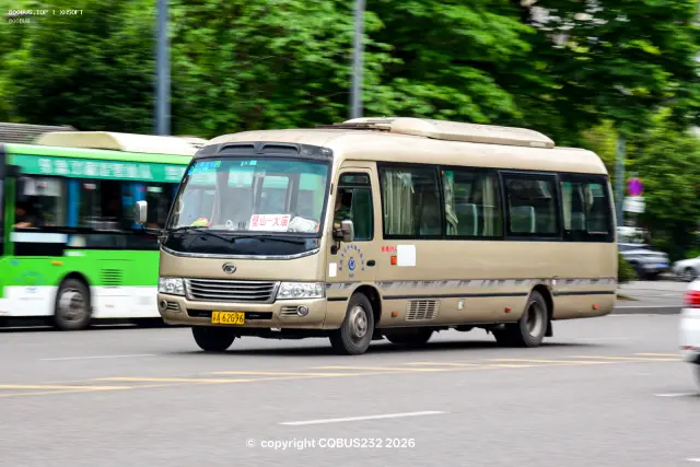 800BUS