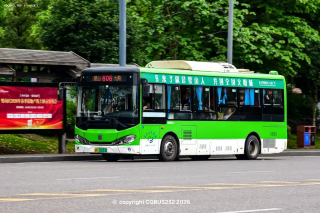 800BUS