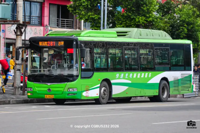 800BUS