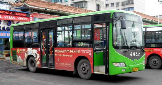 800BUS