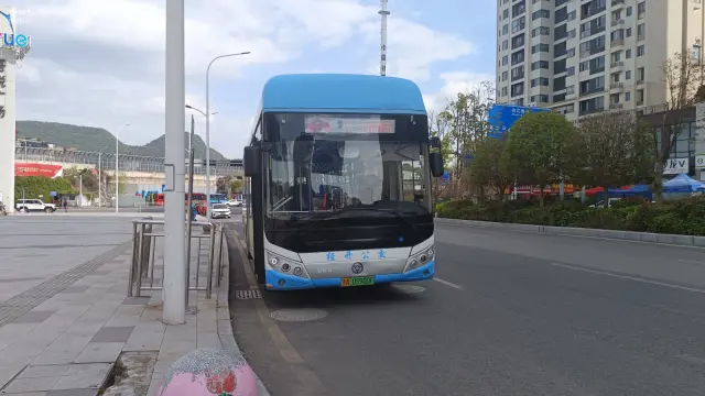 800BUS