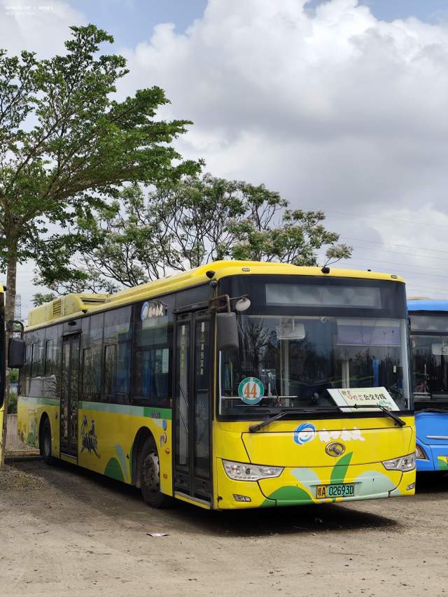 800BUS
