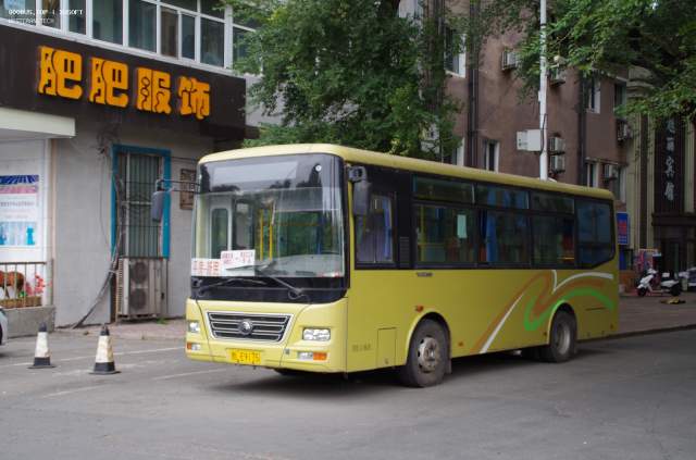 800BUS