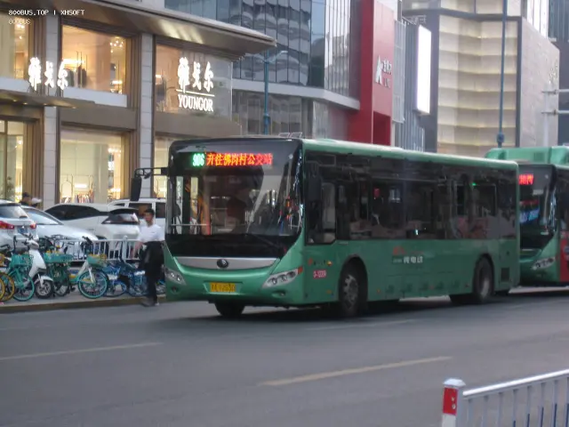 800BUS
