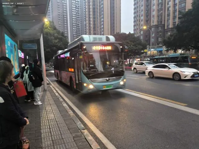 800BUS