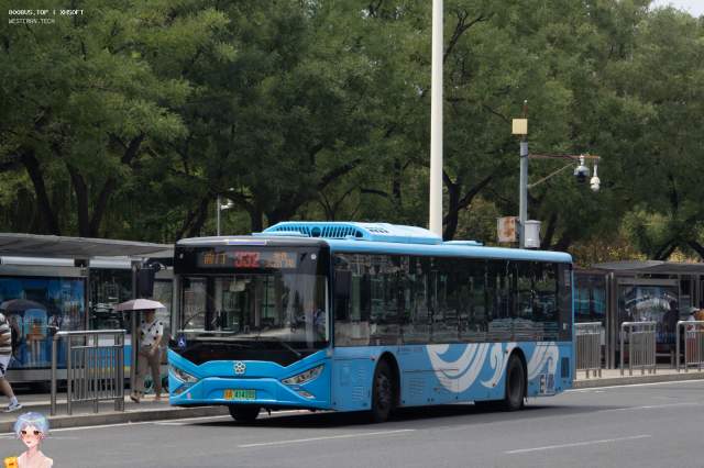 800BUS