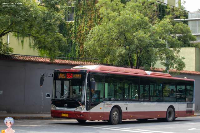 800BUS