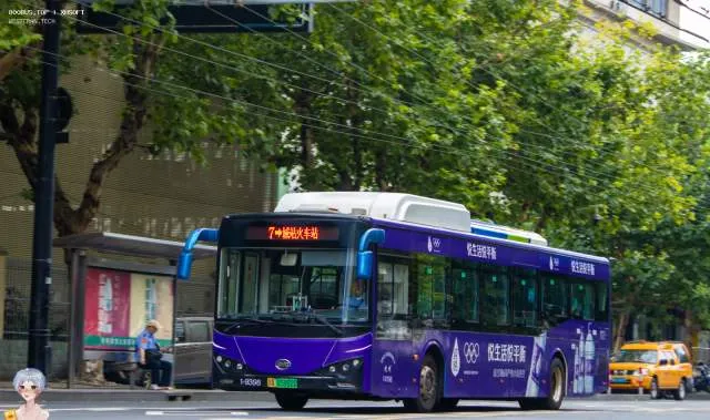 800BUS