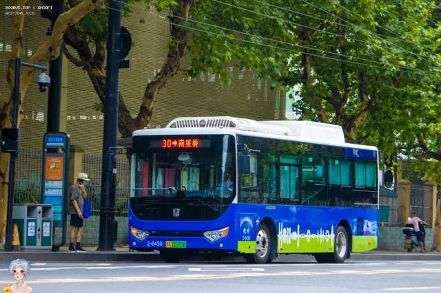 800BUS