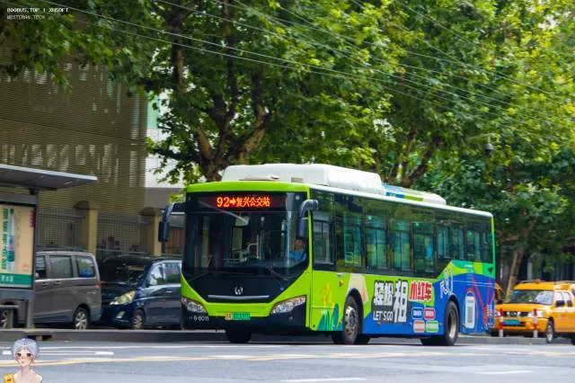 800BUS