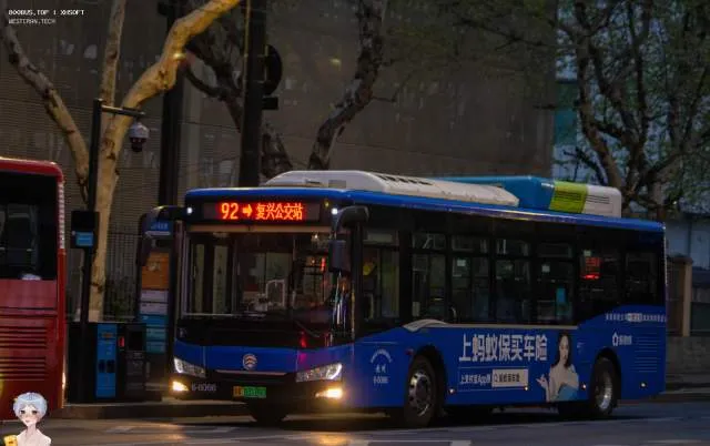 800BUS