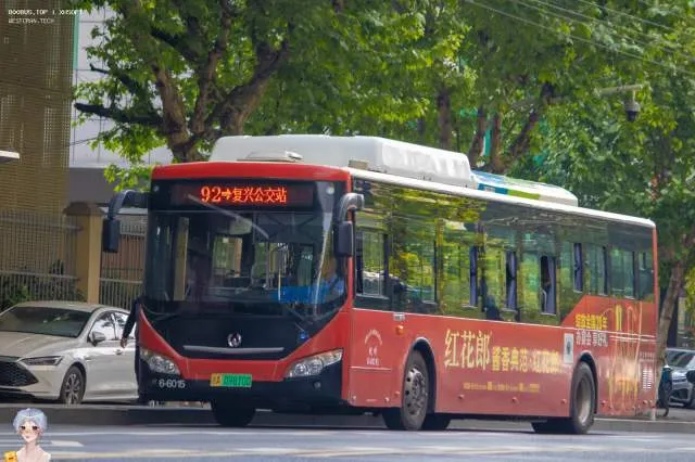 800BUS