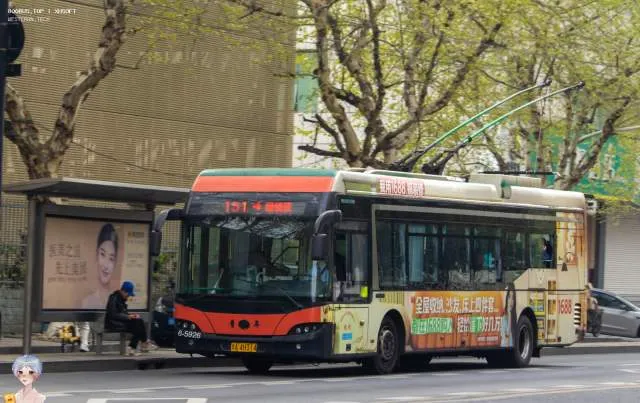 800BUS