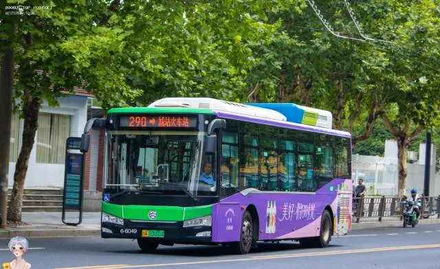 800BUS
