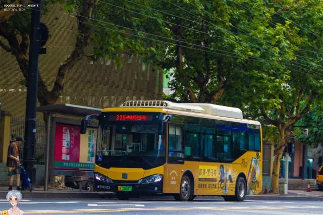 800BUS