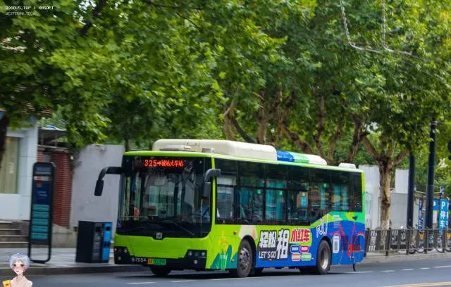 800BUS