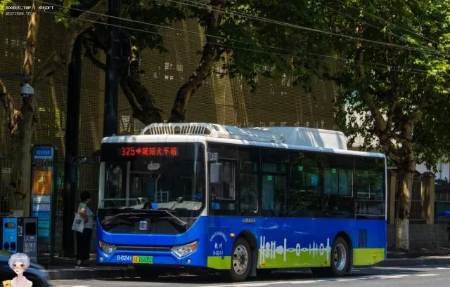 800BUS