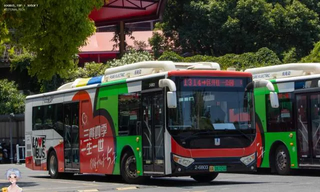 800BUS