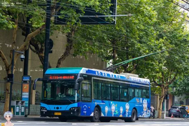 800BUS