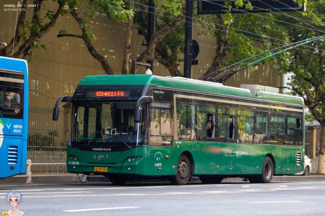 800BUS